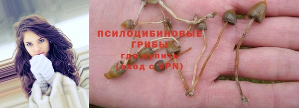 спайс Абинск