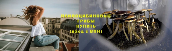 спайс Абинск