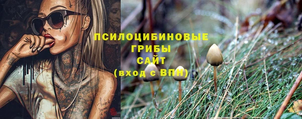 прущий лед Абаза