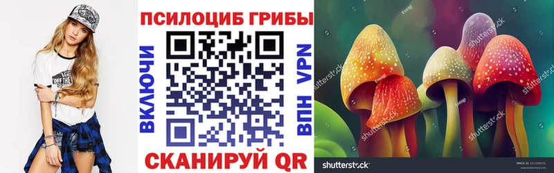 нарко площадка клад  Вичуга  Псилоцибиновые грибы мицелий 