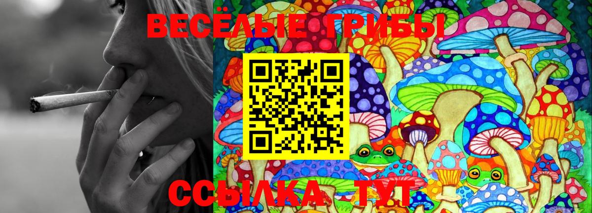 Галлюциногенные грибы Magic Shrooms  Вход с VPN  купить закладку  Вичуга  Псилоцибиновые грибы Cubensis 