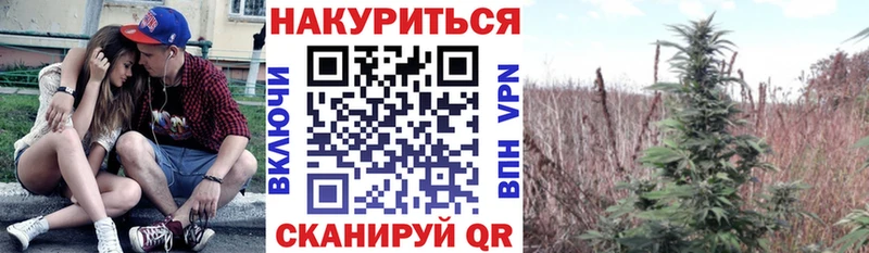 МАРИХУАНА марихуана  Вичуга 